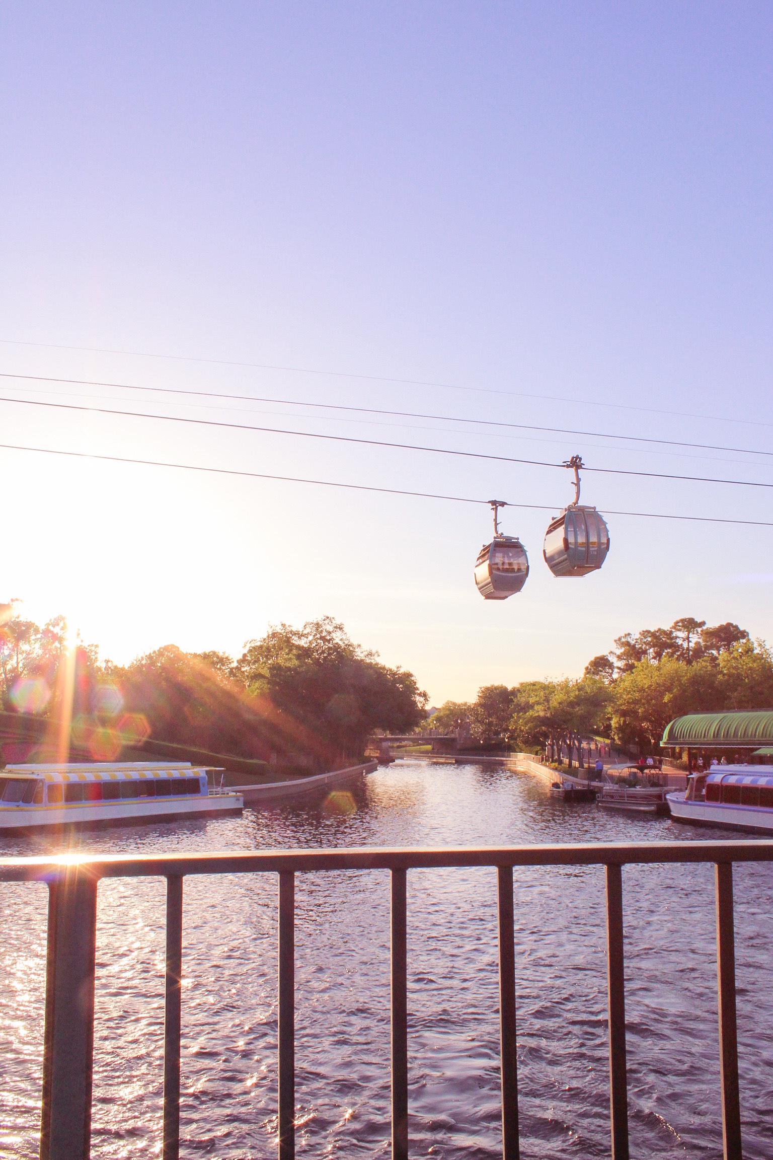 Guide to Disney Transportation: Monorail, Buses, and More
